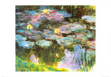 Violet Water Lilies