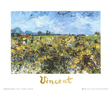 The Green Vineyard