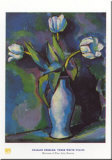Three White Tulips