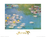 Water Lilies, c.1908 (detail)