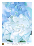 White Rose W/ Lakspur No.2