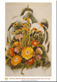 Zinnias And Daisies
