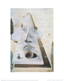 Apparition of the Face of Aphrodite