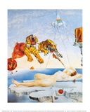 Dream Caused by the Flight of a Bee around a Pomegranate, c. 1944
