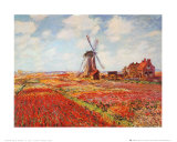 Tulip Fields with the Rijnsburg Windmill Art Print