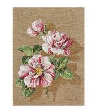 Buy Canvas for III at AllPosters.com