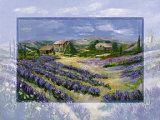 Buy Luscious Lavender at AllPosters.com