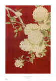 Butterfly and Hydrangea II