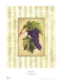 Buy Napa Varietal I at AllPosters.com