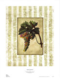 Buy Napa Varietal II at AllPosters.com