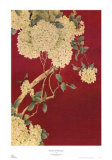 Buy Butterfly and Hydrangea I at AllPosters.com