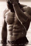 Male Torso