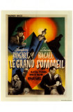 The Big Sleep