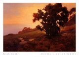 Buy Golden Light at Sunset at AllPosters.com