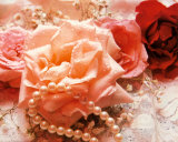 Pink Rose and Pearls
