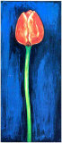 Buy Red Tulips Triptic I at AllPosters.com