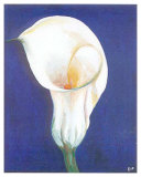 Buy Iris I at AllPosters.com