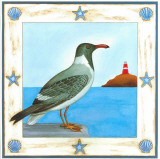 White-Eyed Gull