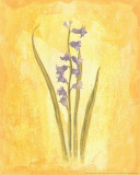 Buy Country Flowers IV at AllPosters.com