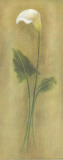 Buy Single Lily I at AllPosters.com