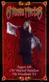 Stevie Nicks in Concert