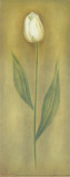 Buy Single Tulip I at AllPosters.com