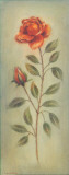 Buy Rose in Green III at AllPosters.com