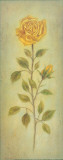 Buy Food IV at AllPosters.com