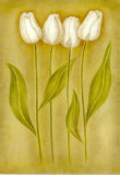 Tulips Triptic II