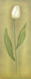 Buy Single Tulip II at AllPosters.com