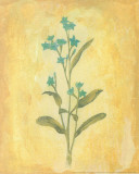 Buy Country Flowers I at AllPosters.com