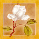 Buy Charm I at AllPosters.com