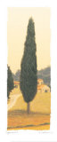 Buy Cypress I at AllPosters.com