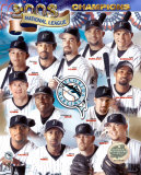 2003 - Marlins National League Champions Composite