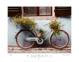 Blue Bike