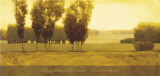 Buy Timeless Meadow at AllPosters.com