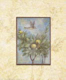 Giardino II