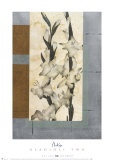 Gladioli II