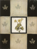 Buy Maria's Bloom I at AllPosters.com