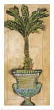 Potted Palm IV Art Print