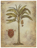 Ivo's Palm I