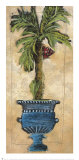 Potted Palm III Art Print