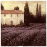 Lavender Field Detail