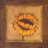 Contemporary Sunflower