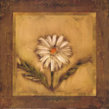 Contemporary Daisy