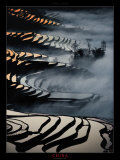 China, Yunnan Rice fields