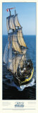 Buy The Rose at AllPosters.com