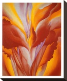 Red Canna - Gold Trim