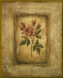 Savin Rose - mini - Gold Trim Mounted Print