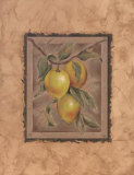 Buy Citron Fructus at AllPosters.com